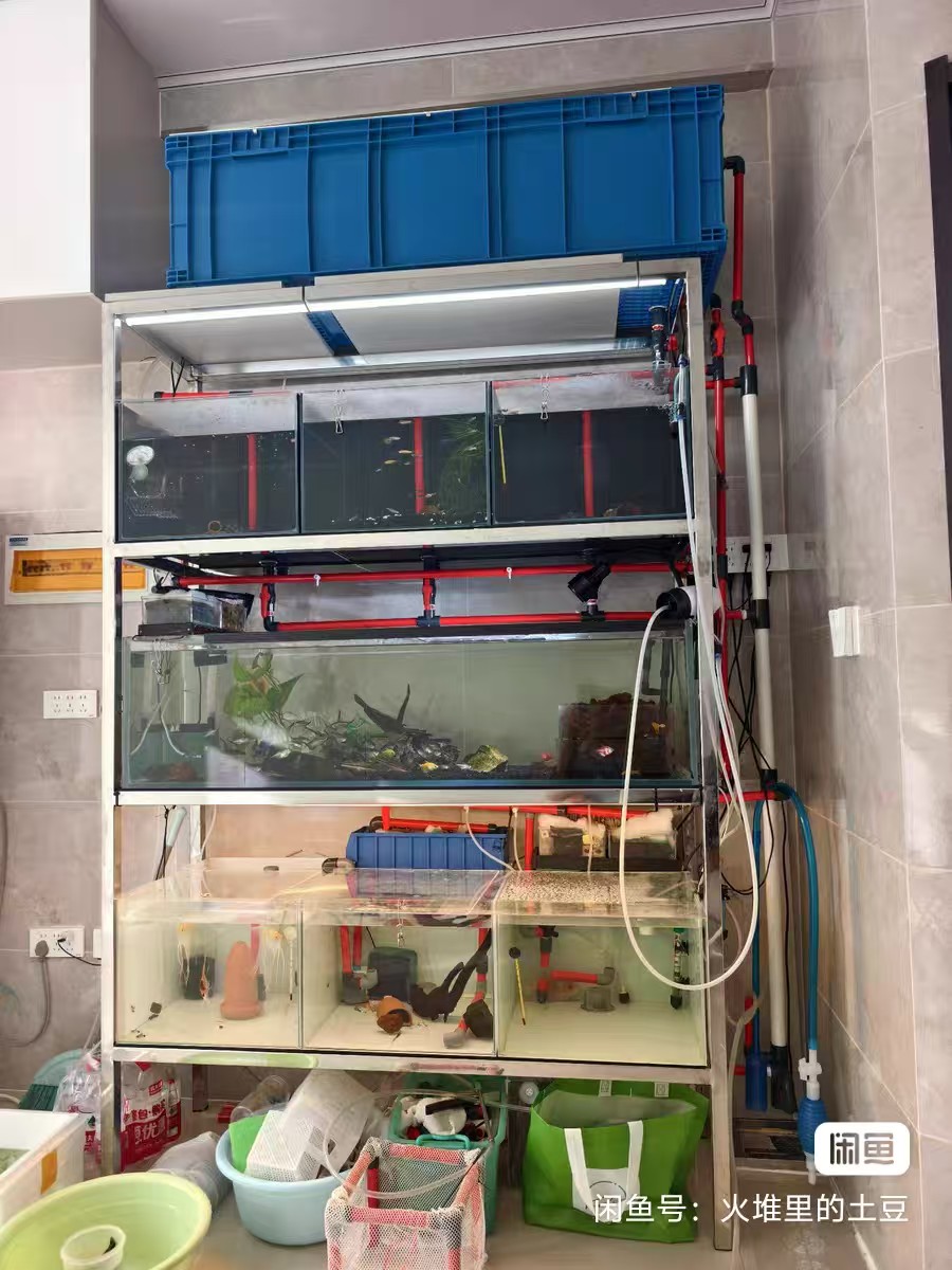 微信圖片_20251010135800_811_23.jpg 微信圖片_20251010135800_811_23.jpg